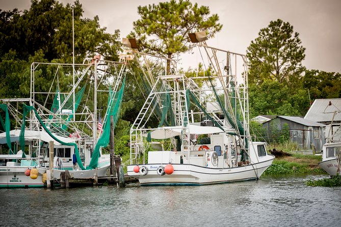 New Orleans Swamp and Bayou Sightseeing Tour With Transportation - Weather Tips for the Tour