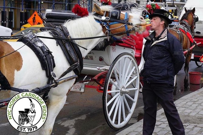 New York City: Central Park Private Horse-and-Carriage Ride (Mar ) - Duration and Language
