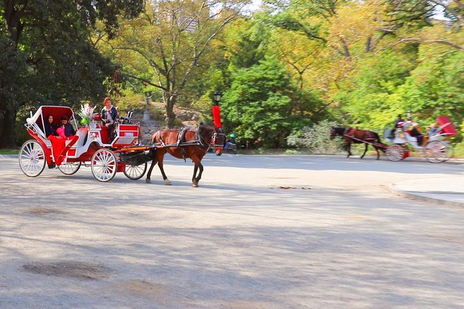 New York City: Central Park Private Horse-and-Carriage Tour (Mar ) - Directions and Booking