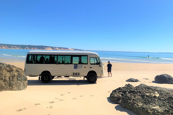 Noosa to Double Island Point Kayaking With Dolphins Day Trip  - Noosa & Sunshine Coast - Value and Satisfaction