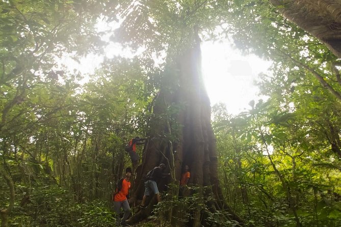 North Bali Twin Lakes Hiking & Canoeing Small-Group Day Tour (Mar ) - Weather Considerations