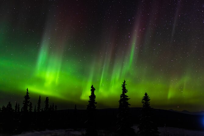 Northern Lights Adventure of a Liftetime From Anchorage - Common questions