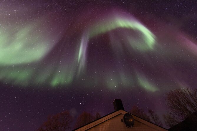 Northern Lights Safari From Tromso - Additional Information