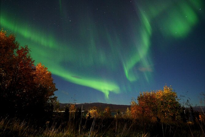 Northern Lights Tour With Alta Adventure - Tips for Northern Lights Viewing