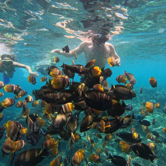 Nusa Penida: Unforgettable Snorkeling Adventure With 4 Spots - Last Words