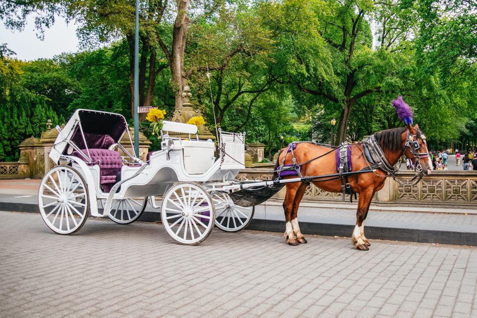 NYC: Guided Central Park Horse Carriage Ride - Tips for a Memorable Ride