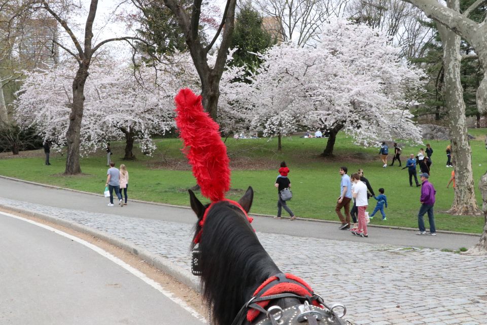 NYC: Guided Standard Central Park Carriage Ride (4 Adults) - Common questions