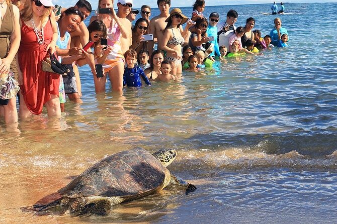 Oahu Circle Island Tours - Booking Information and Process