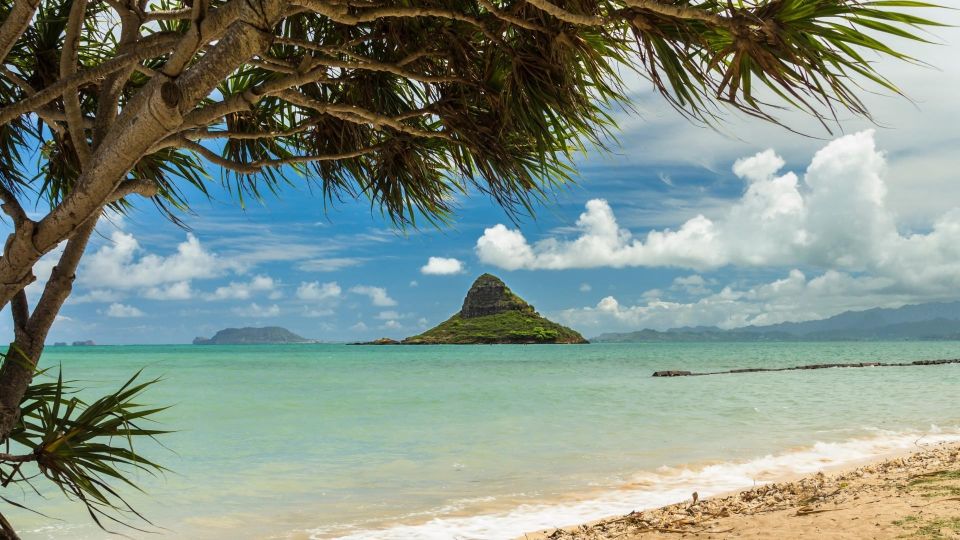 Oahu: Private Custom Island Tour - Free Cancellation Policy