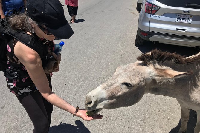 Oatman Mining Camp, Burros, Museums & Scenic RT66 Tour Small Grp - Weather-Related Cancellations and Refunds