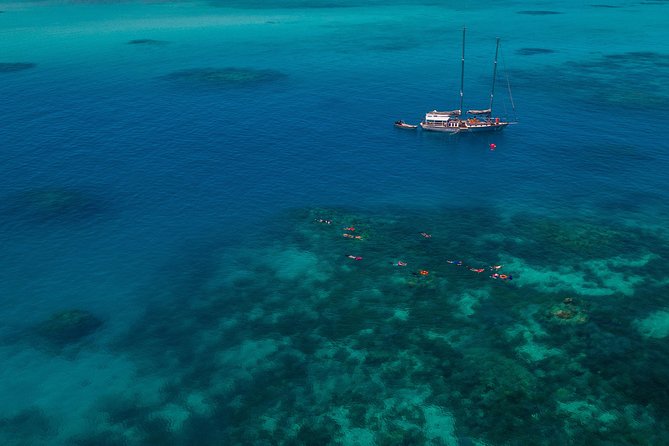 Ocean Free Green Island & Great Barrier Reef Snorkel Cruise - Viator Details