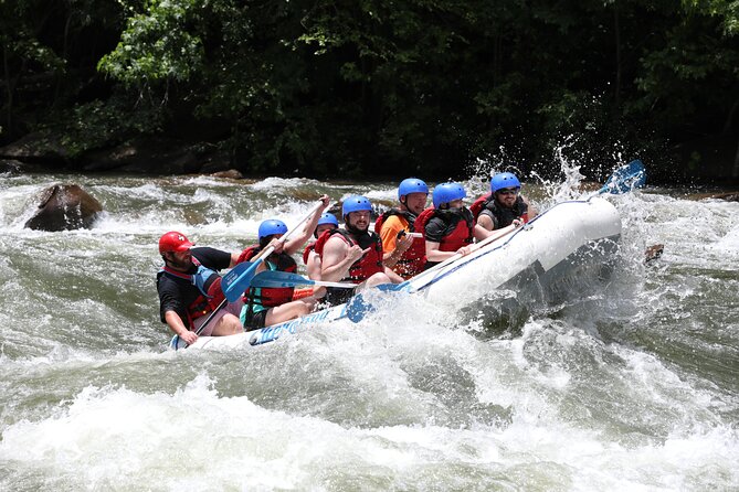 Ocoee River Middle Whitewater Rafting Trip (Most Popular Tour) - Traveler Photos
