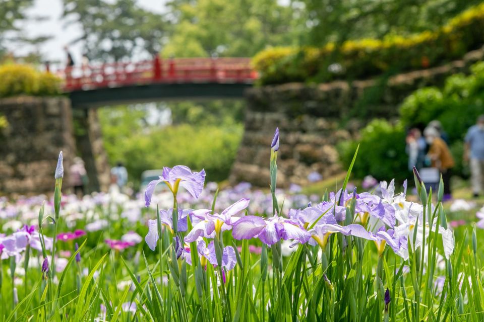 Odawara: Odawara Castle and Town Guided Discovery Tour - Directions