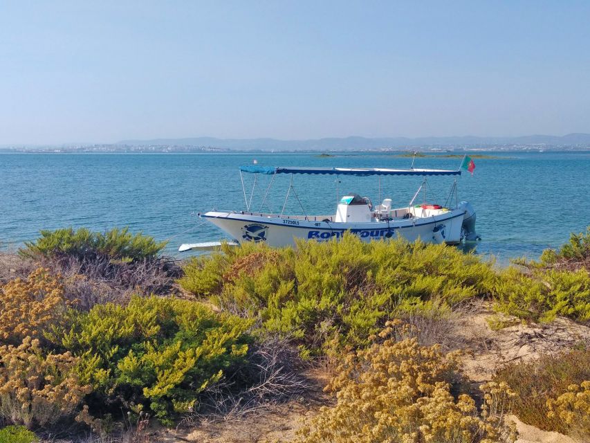 Olhão: Private Boat Tour to Ria Formosa - Island Exploration