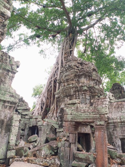 One Day Angkor Wat Trip With Sunset on Bakheng Hill - Common questions