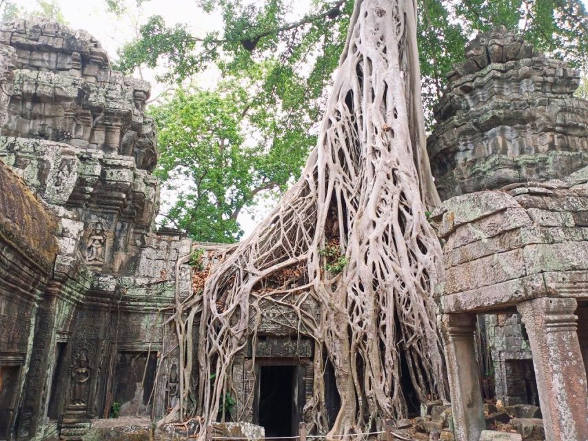 One Day Temple Tour to Angkor Wat, Angkor Thom & Taprohm - Tour Inclusions