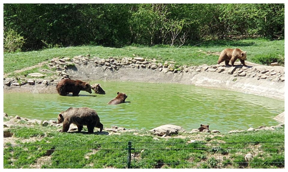 One Day Trip Bear Sanctuary, Dracula Castle - Common questions