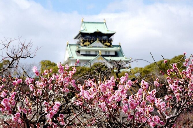 Osaka Cherry Blossom Tour With a Local: 100% Personalized Private - Last Words