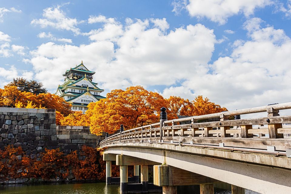 Osaka: Full-Day Private Guided Walking Tour - Reservation Options and Pricing