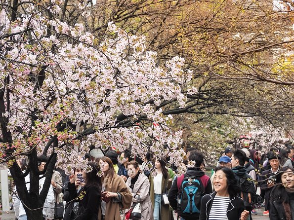 Osaka Private Food Tours by Local Foodies: 100% Personalized - Common questions