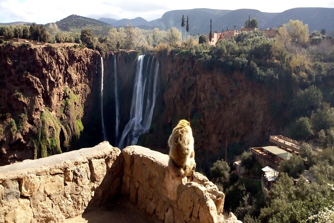 Ouzoud Waterfalls Full Day Trip From Marrakech - Traveler Reviews and Ratings