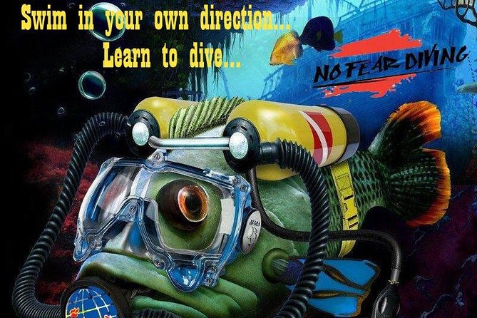 Padi Discover Scuba Diving In Amed Bali - Common questions