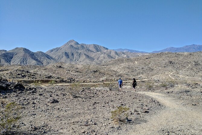 Palm Springs Hike to an Oasis and Amazing Desert Views - Client Satisfaction With Carlos Expertise