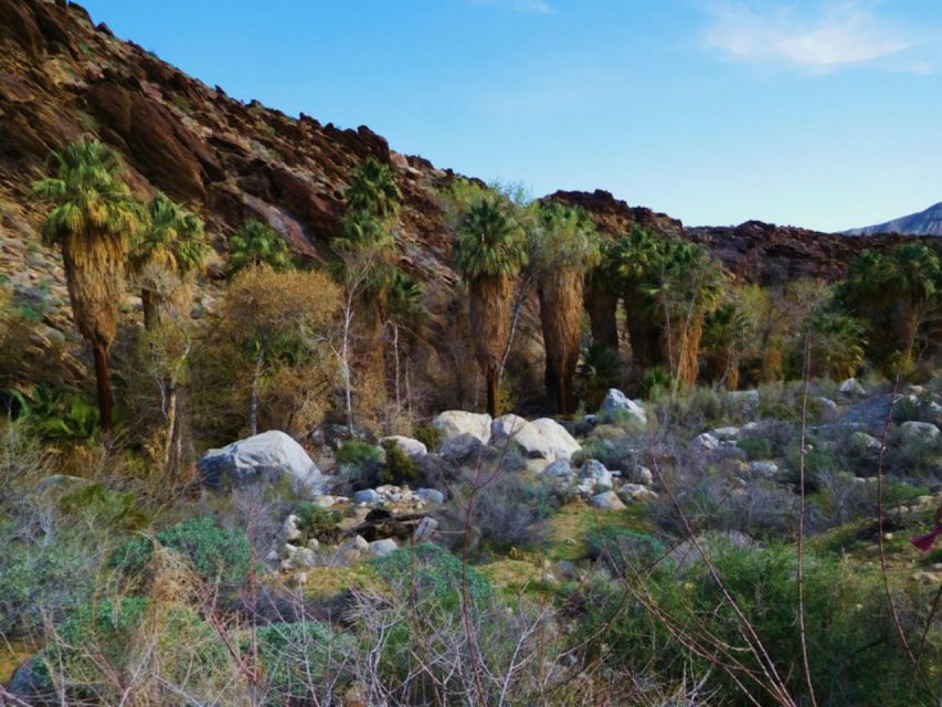 Palm Springs: Indian Canyons Hiking Tour by Jeep - Booking and Cancellation Policy