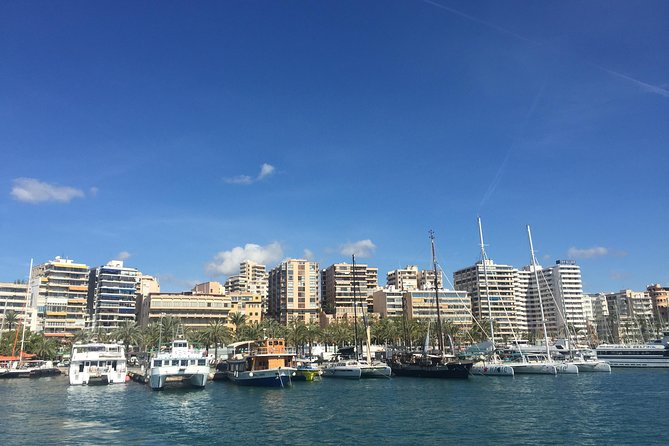 Palma De Mallorca Bay Boat Trip - Reviews and Ratings Summary