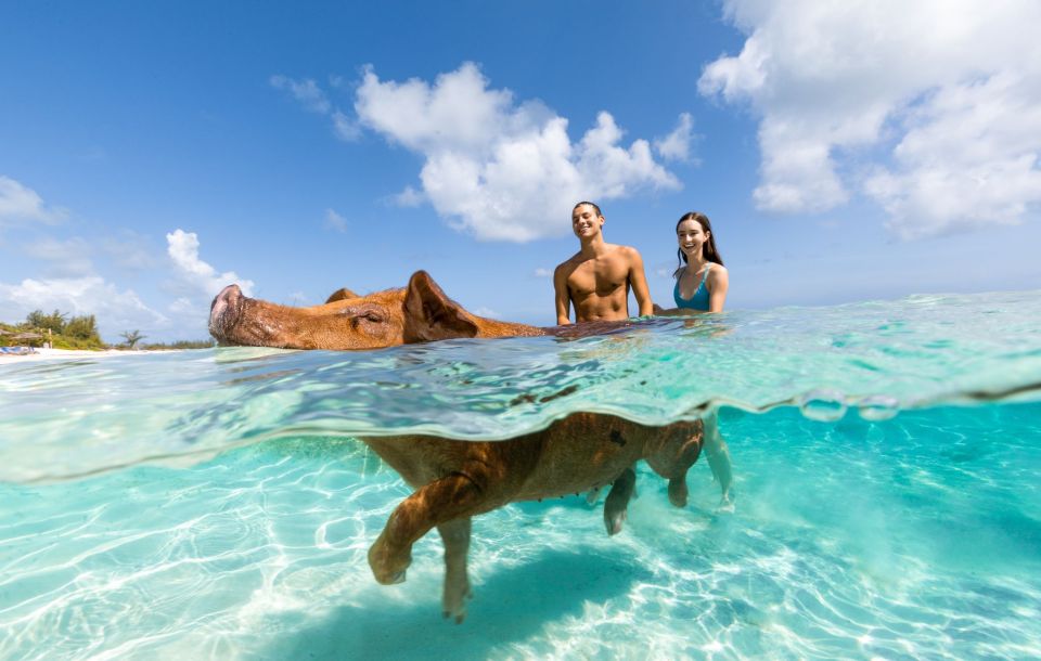 Paradise Island: Rose Island Tour With Swimming Pigs & Lunch - Island Activities Overview