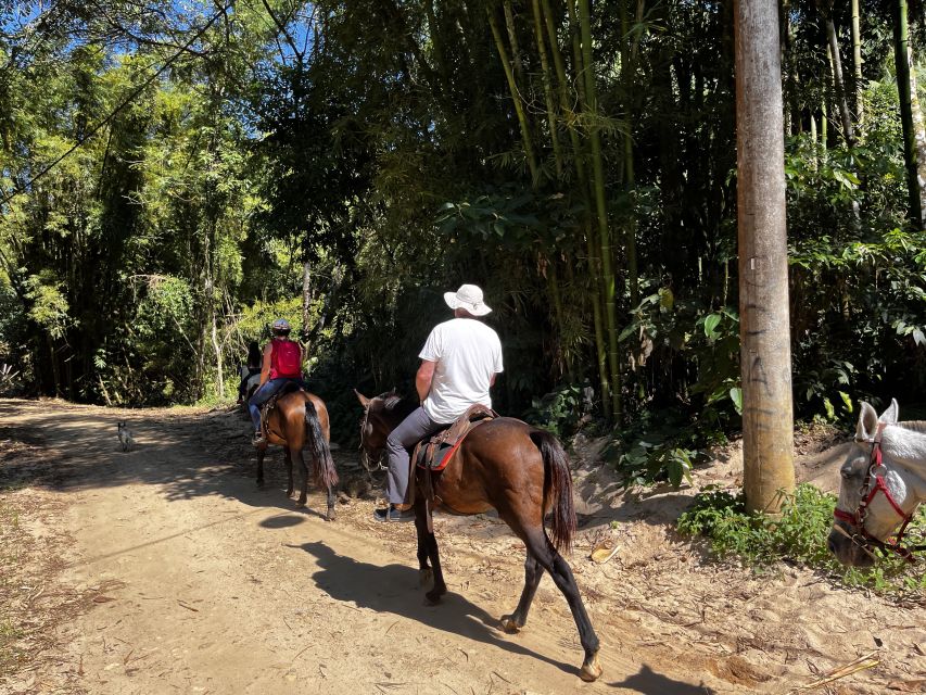Paraty: 3-Hour Rainforest Horseback Ride - Common questions