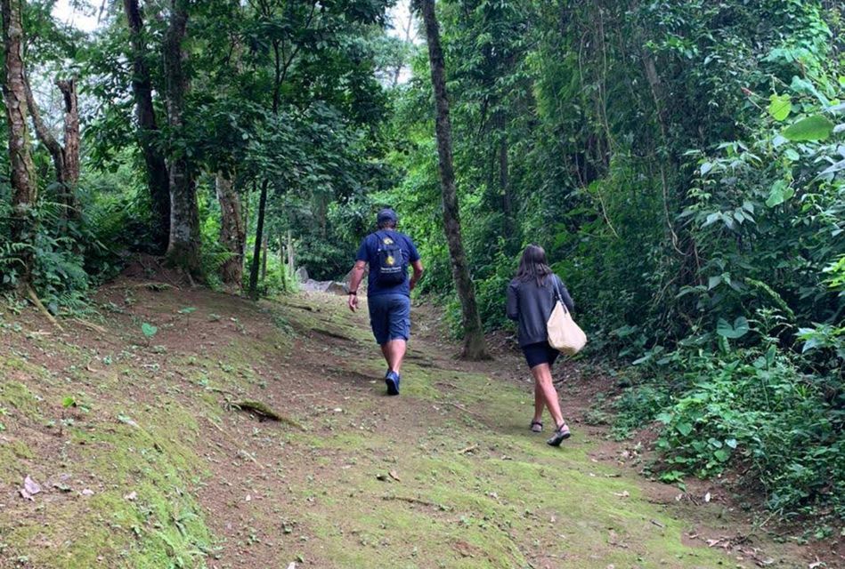 Paraty: Gold Trail Rainforest Hiking Tour - Reservation and Cancellation Policy
