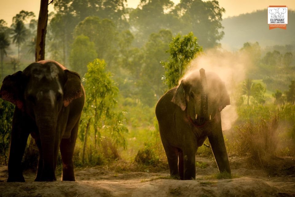Pattaya: Elephant Jungle Sanctuary Half-Day Tour With Meal - Directions