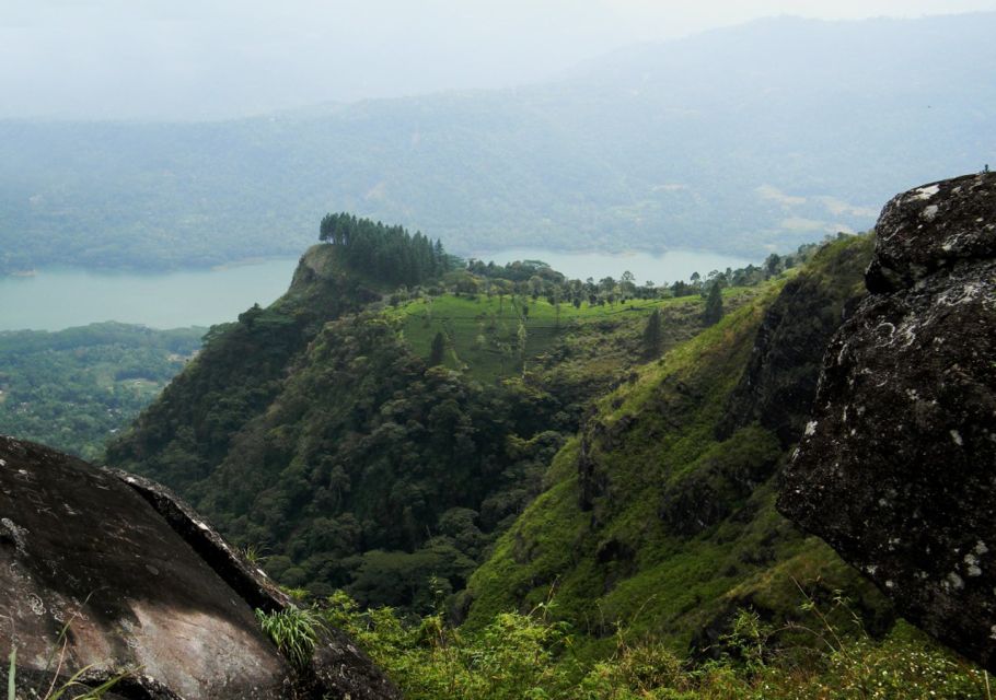 Peacock Hill Trek - Tour Guide Availability