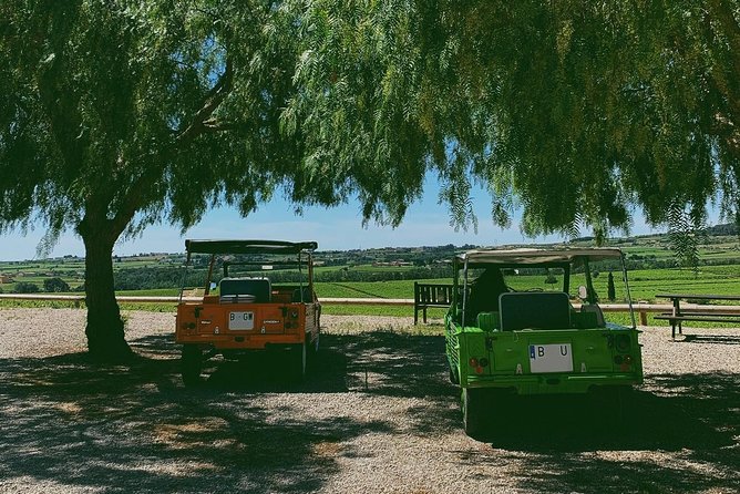 Penedès Wine Tour and Picnic Lunch  - Barcelona - Common questions