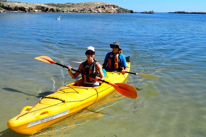 Penguin and Seal Islands Sea Kayaking Experience - Directions and General Information