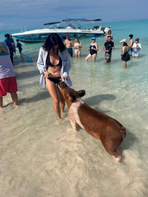 Perfect Day - Swimming Pigs, Snorkel & Beach Club - Highlights