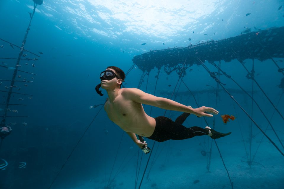 Phi Phi Island: Intro to Freediving (1 Day) - Booking, Payment, and Additional Information