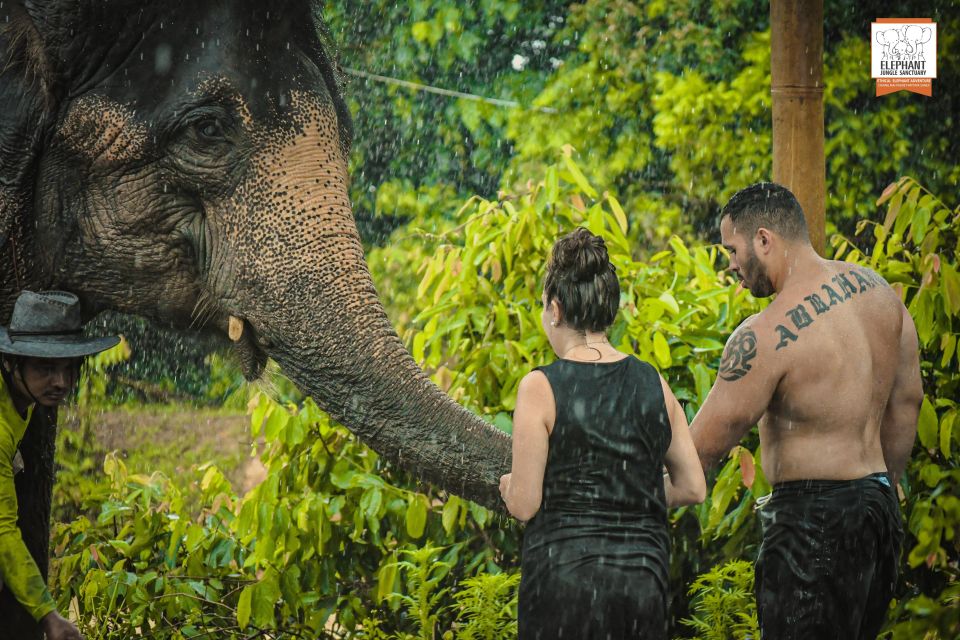 Phuket: Elephant Jungle Sanctuary Half-Day Visit With Meal - Educational Insights