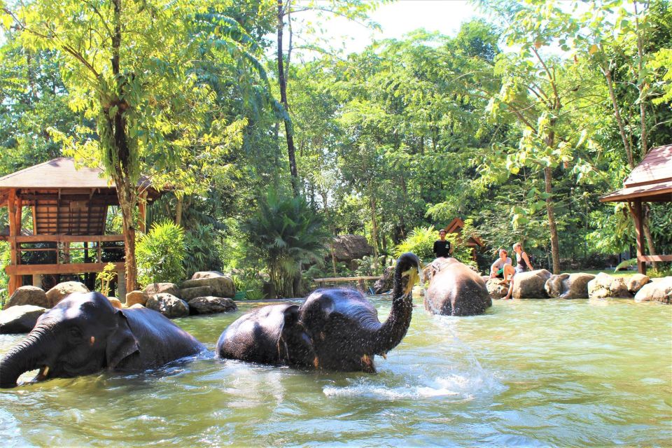 Phuket: Ethical Elephant Sanctuary Experience - Directions