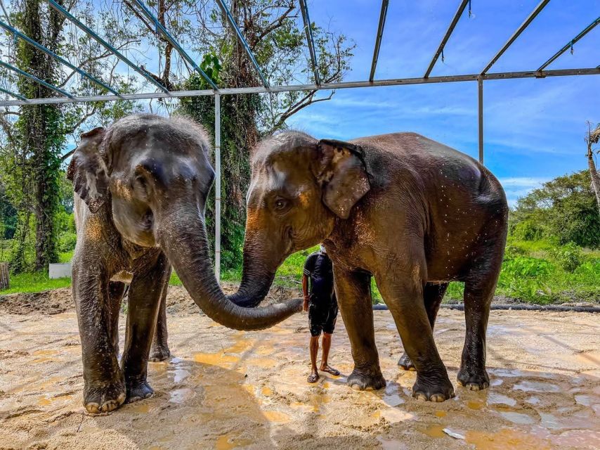 Phuket: Phuket Elephant Care Sanctuary ECO Tour - Live Tour Guides