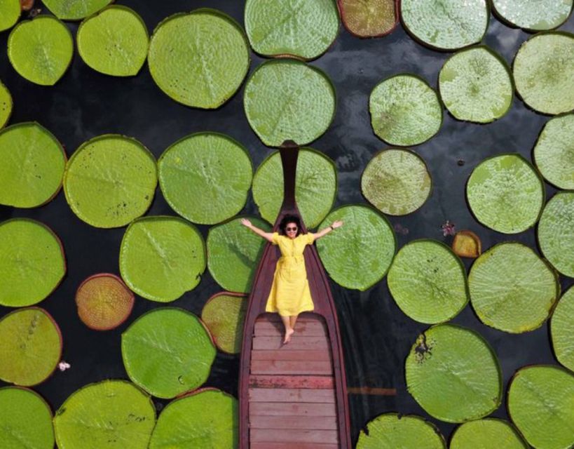 Phuket: Private & All-Inclusive Giant Water Lilies Tour - Common questions