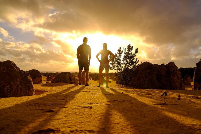 Pinnacle Desert Sunset and Night-Time Stargazing Tour From Perth - Last Words