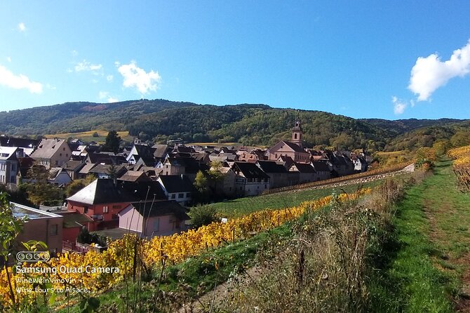 Pinot Noir & Pinot Wine Tour to Baden-Württemberg - Cultural Immersion