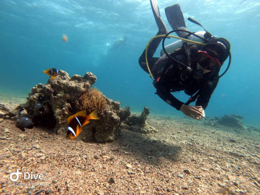 Pivate Scuba Diving in the Red Sea of Aqaba - Common questions