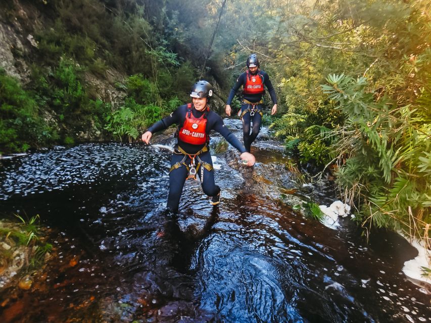 Plettenberg Bay: Canyoning Trip - Reviews: Safety, Fun, and Guest Testimonials