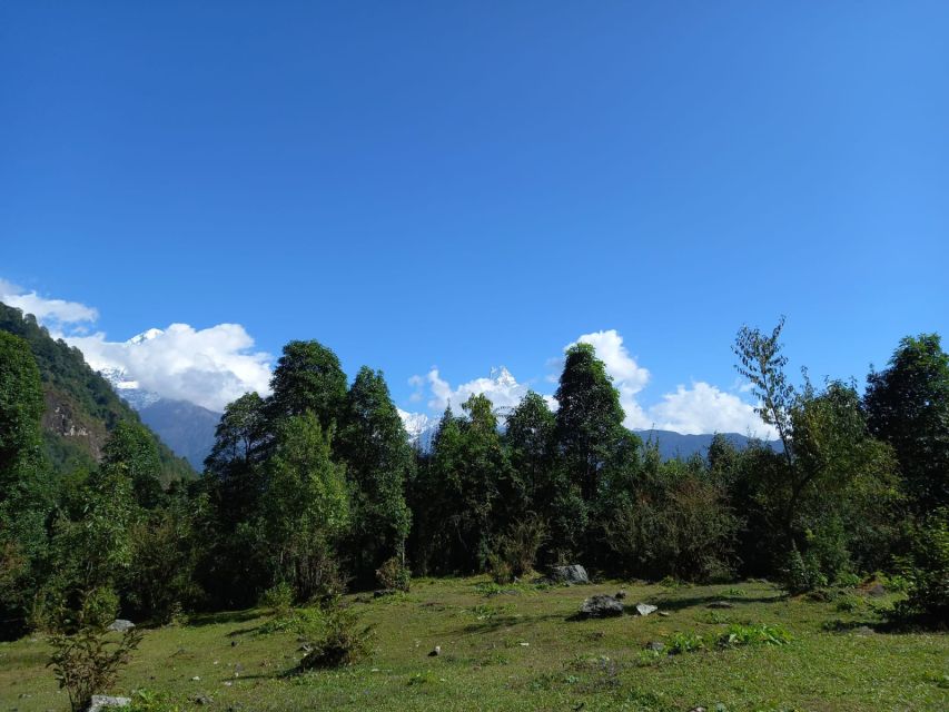 Pokhara: 4-Days Private Annapurna- Poonhill-Ghandruk Trek - Common questions