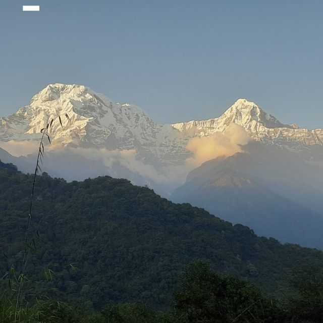 Pokhara: Peace Pagoda Sunset, Annapurna Mountain Views Tour - Common questions