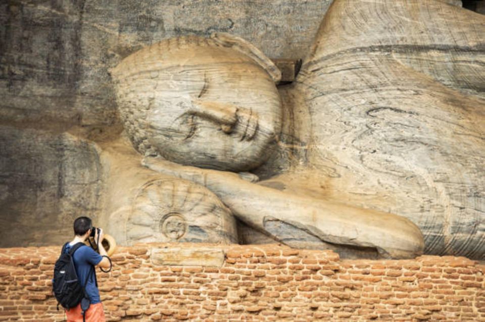 Polonnaruwa Ancient City Tour With Minneriya Elephant Safari - Experience the Gathering of Elephants