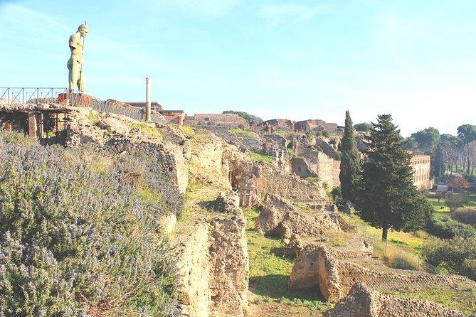 Pompeii and Herculaneum Private Tour With Native Guide and Skip the Line Tickets - Last Words